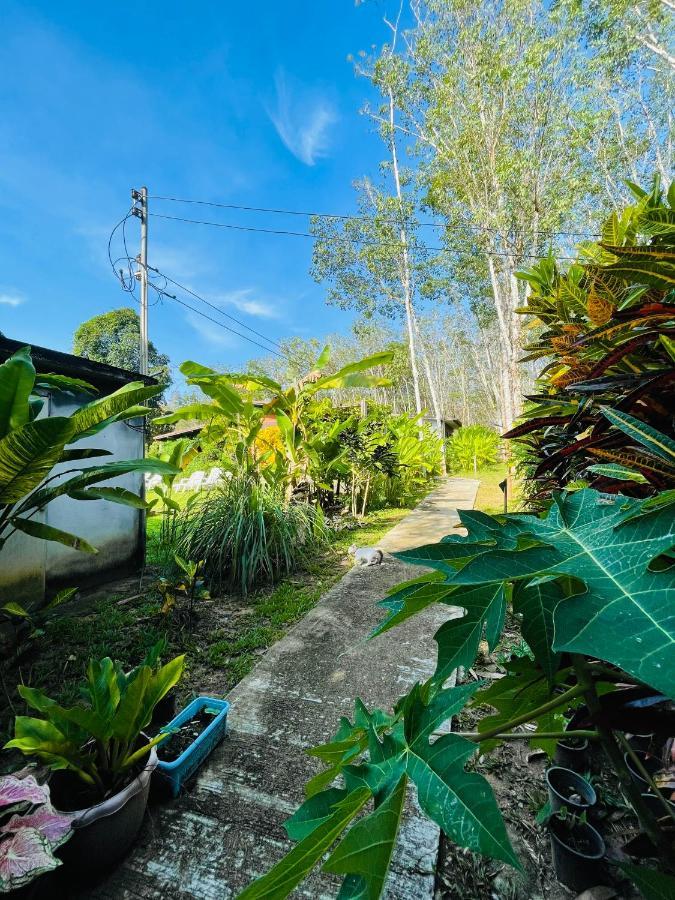 Lok Mun Bungalows Ko Yao Noi Exteriör bild